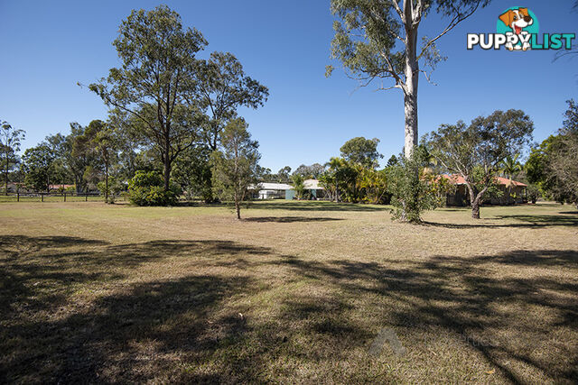 51 Vaughan Drive ORMEAU QLD 4208