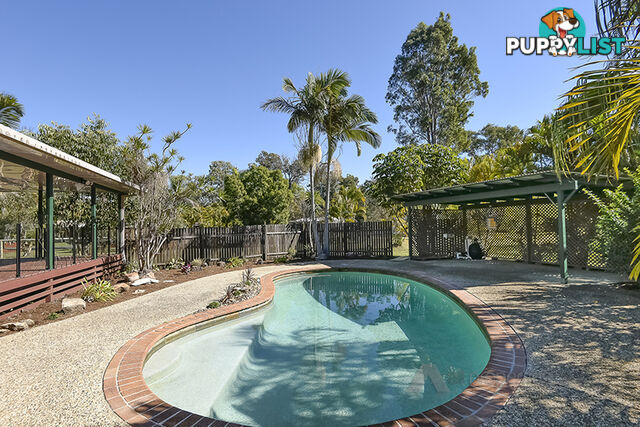 51 Vaughan Drive ORMEAU QLD 4208