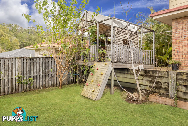 15 Rarotonga Rise PACIFIC PINES QLD 4211