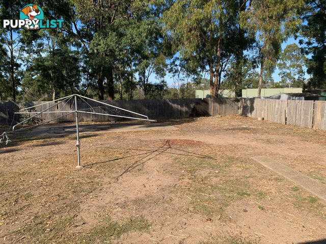 149 Sinclair Drive ELLEN GROVE QLD 4078