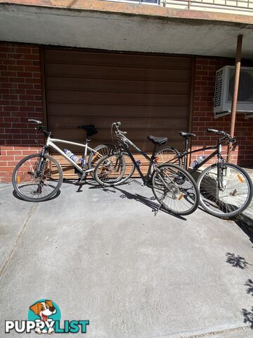 3 Avanti hybrid bikes