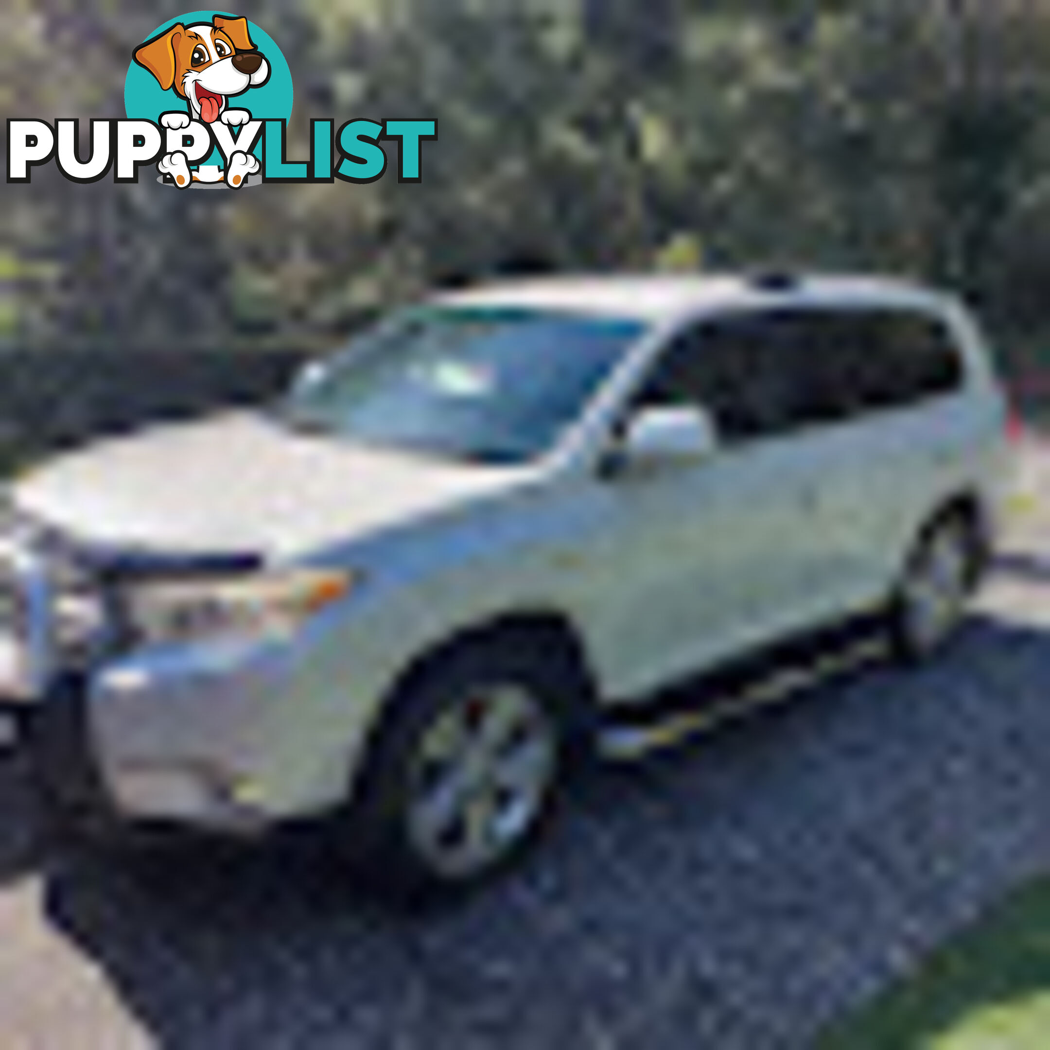 2013 Toyota Kluger GSU45R GRANDE SUV Automatic