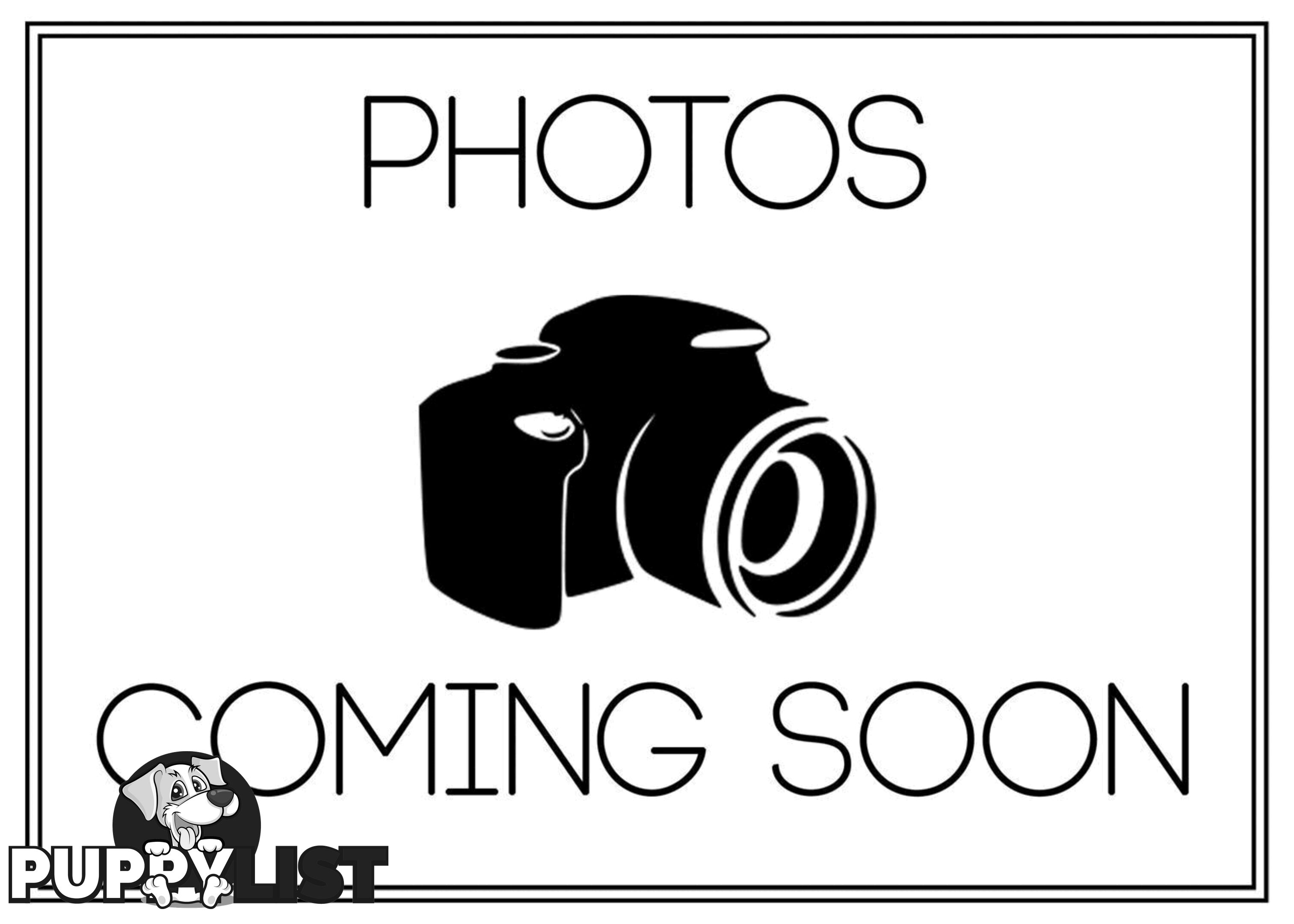 2012 FORD TERRITORY TITANIUM SEQ SPORT SHIFT AWD SZ WAGON