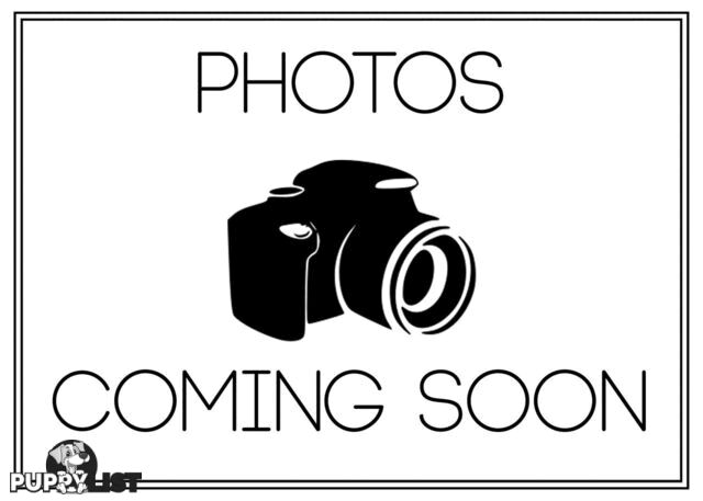 2012 FORD TERRITORY TITANIUM SEQ SPORT SHIFT AWD SZ WAGON