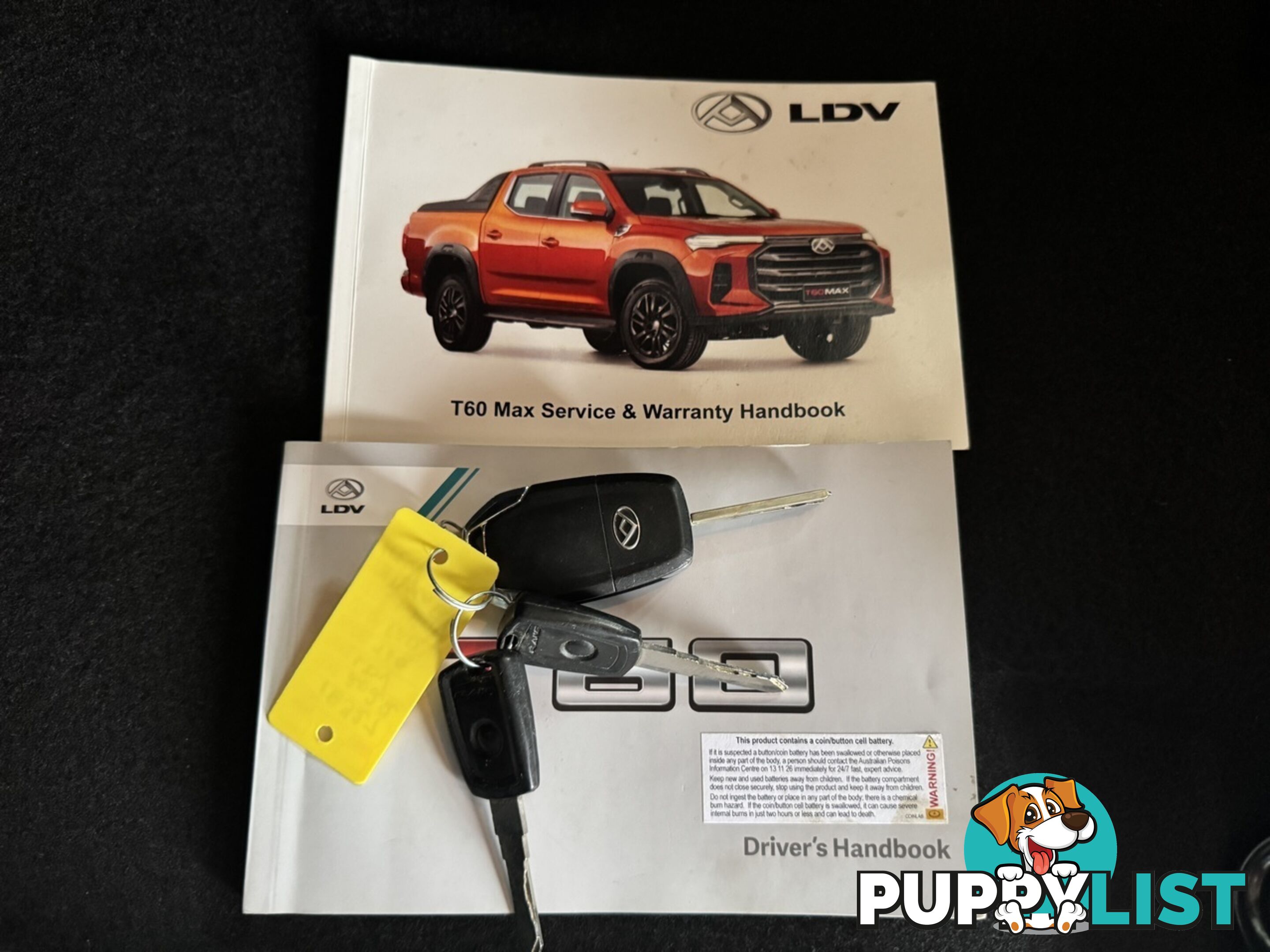 2022 LDV T60 MAX PRO SK8C UTILITY