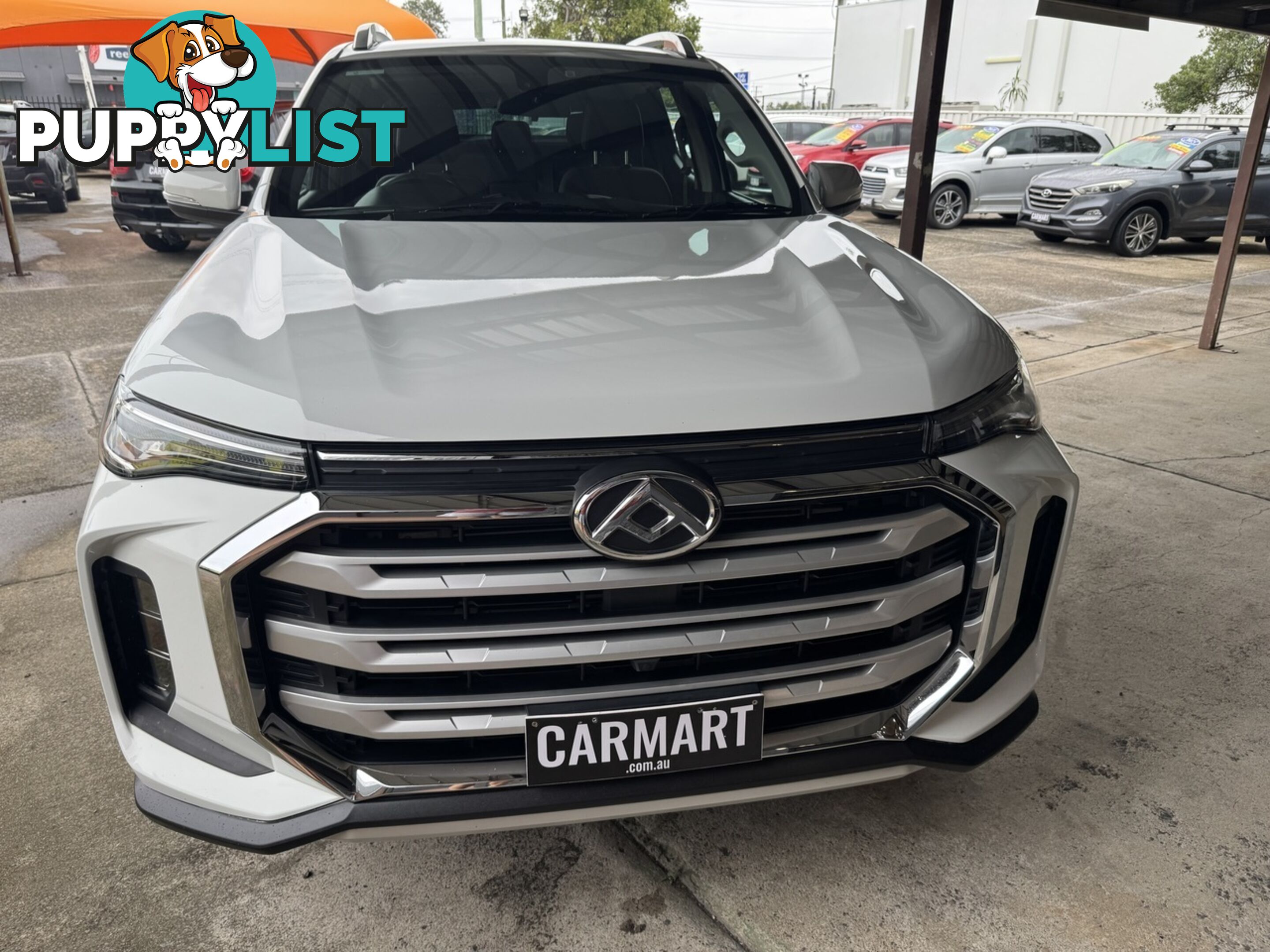 2022 LDV T60 MAX PRO SK8C UTILITY