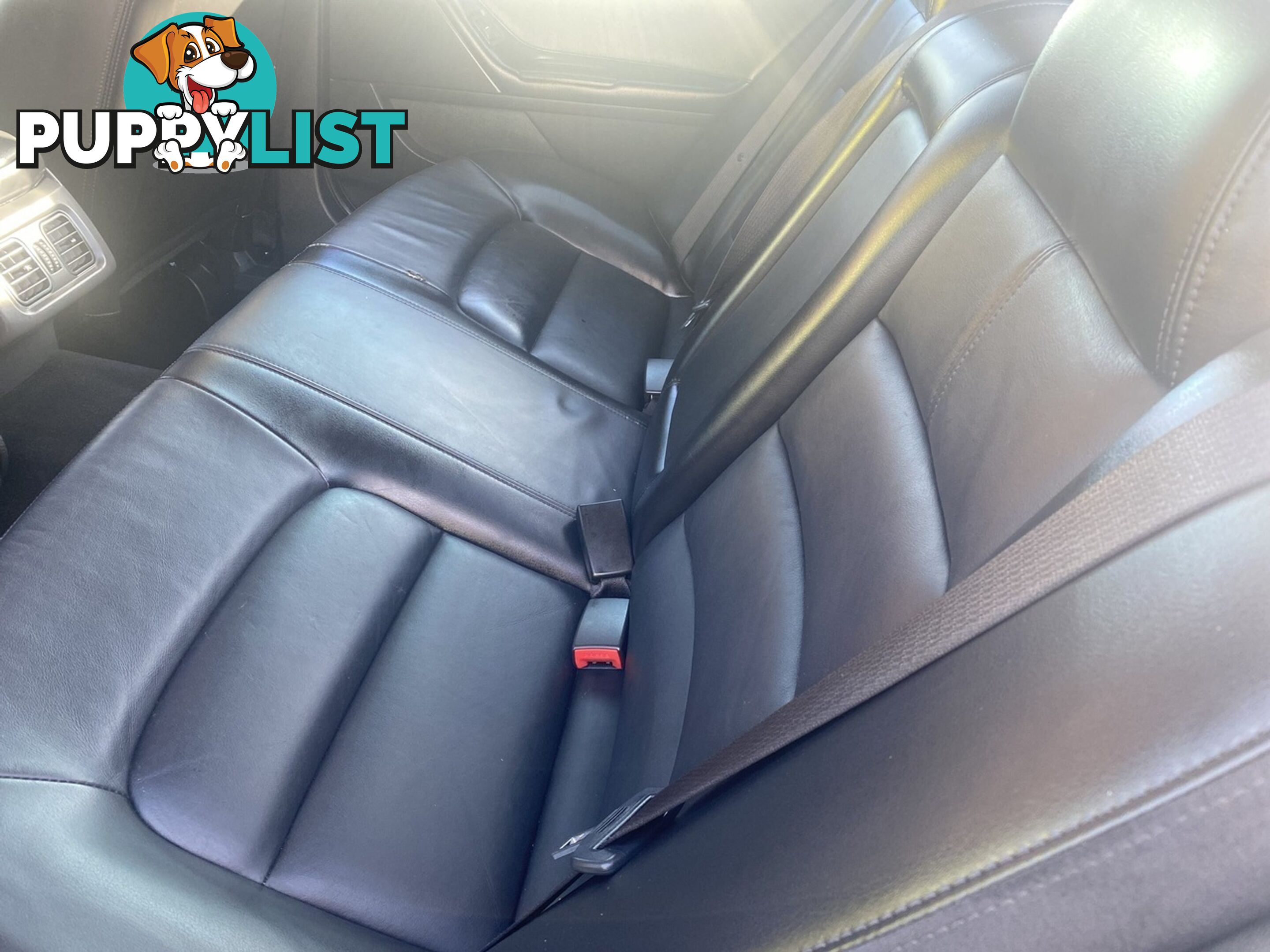 2010 FORD FALCON G6 50TH ANNIVERSARY FG SEDAN
