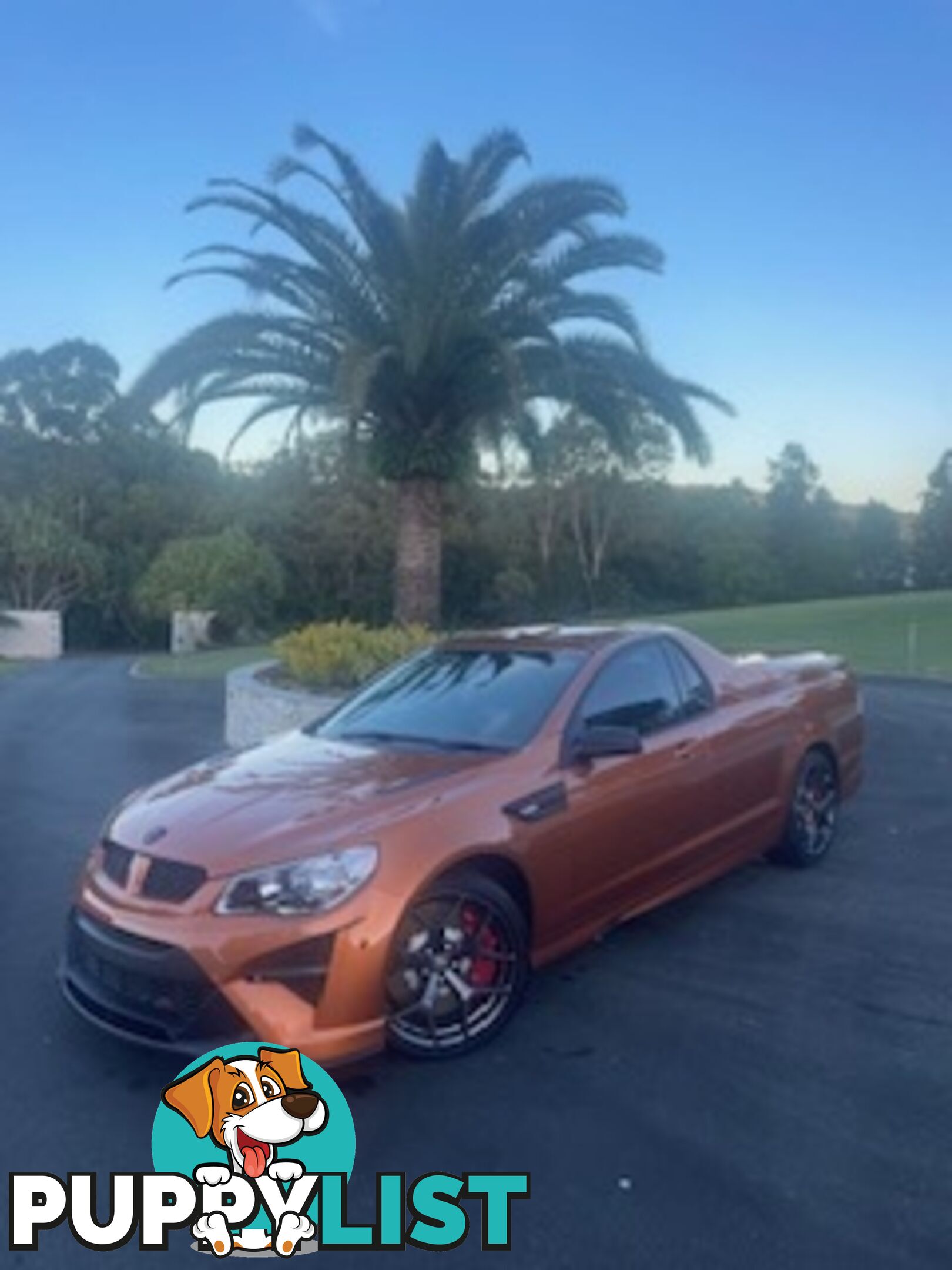 2017 HOLDEN SPECIAL VEHICLES MALOO GTS R GEN UTILITY