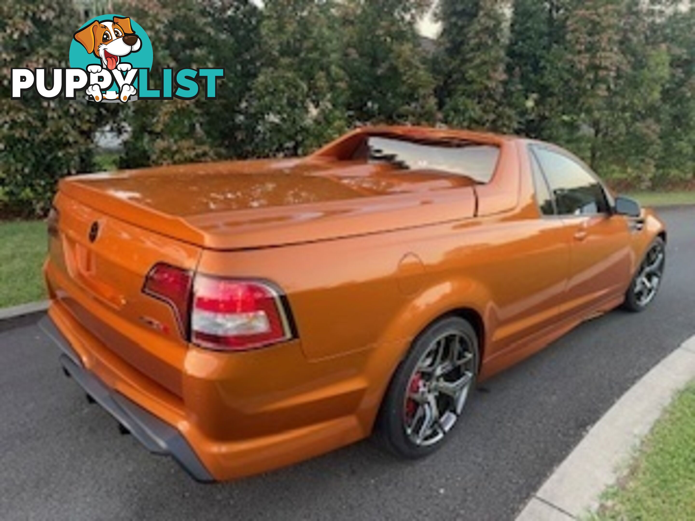 2017 HOLDEN SPECIAL VEHICLES MALOO GTS R GEN UTILITY