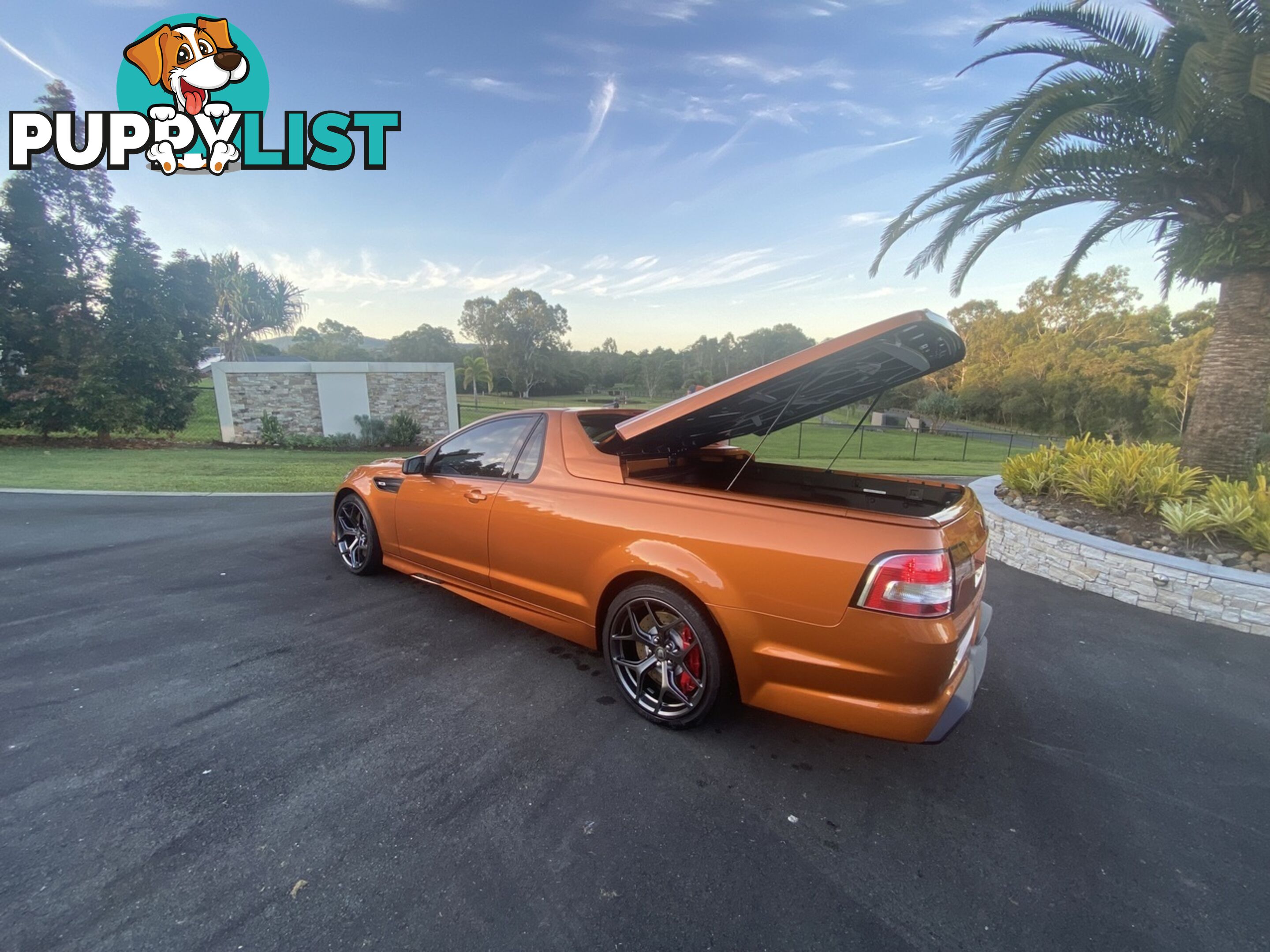 2017 HOLDEN SPECIAL VEHICLES MALOO GTS R GEN UTILITY