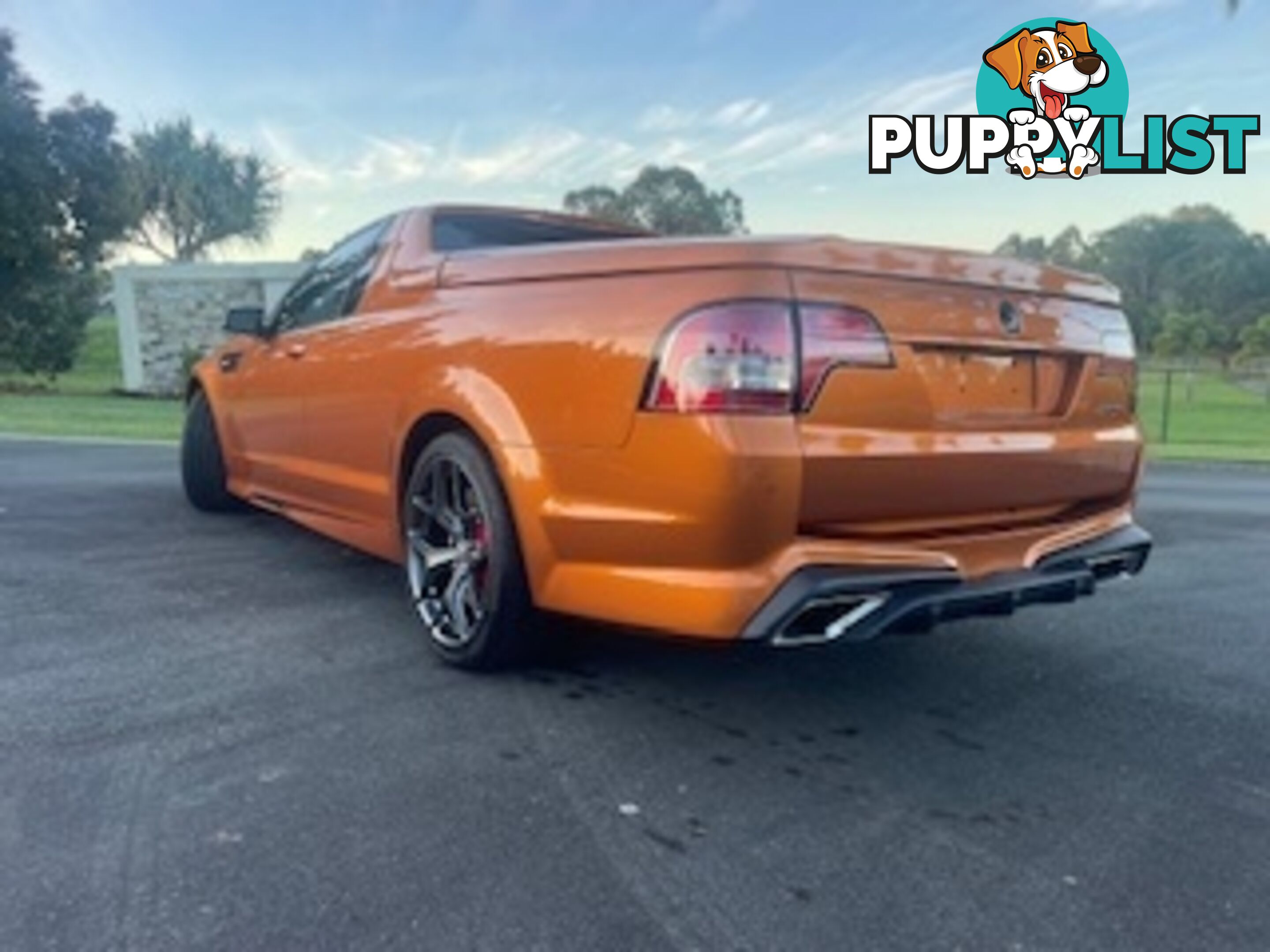 2017 HOLDEN SPECIAL VEHICLES MALOO GTS R GEN UTILITY