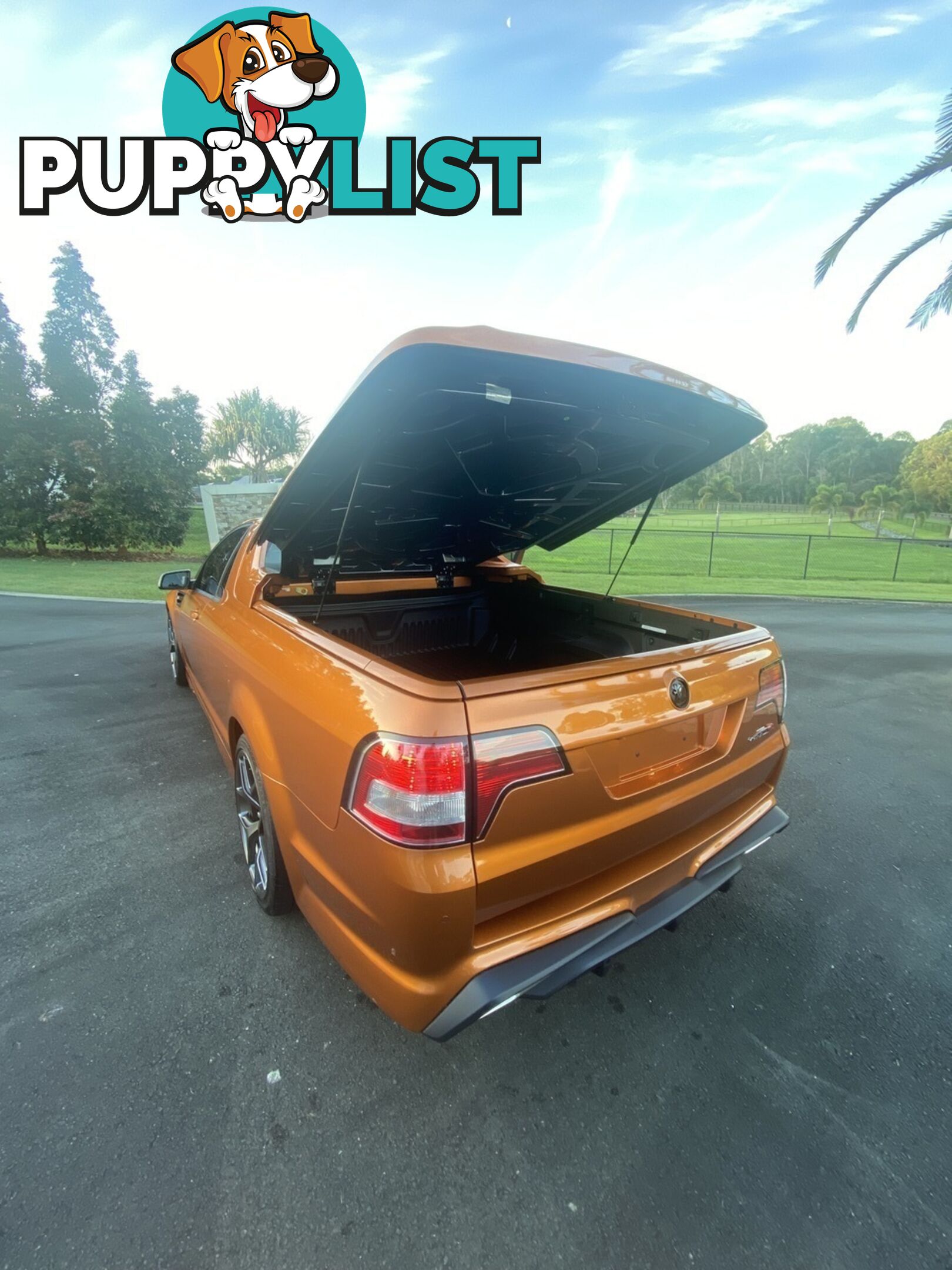 2017 HOLDEN SPECIAL VEHICLES MALOO GTS R GEN UTILITY