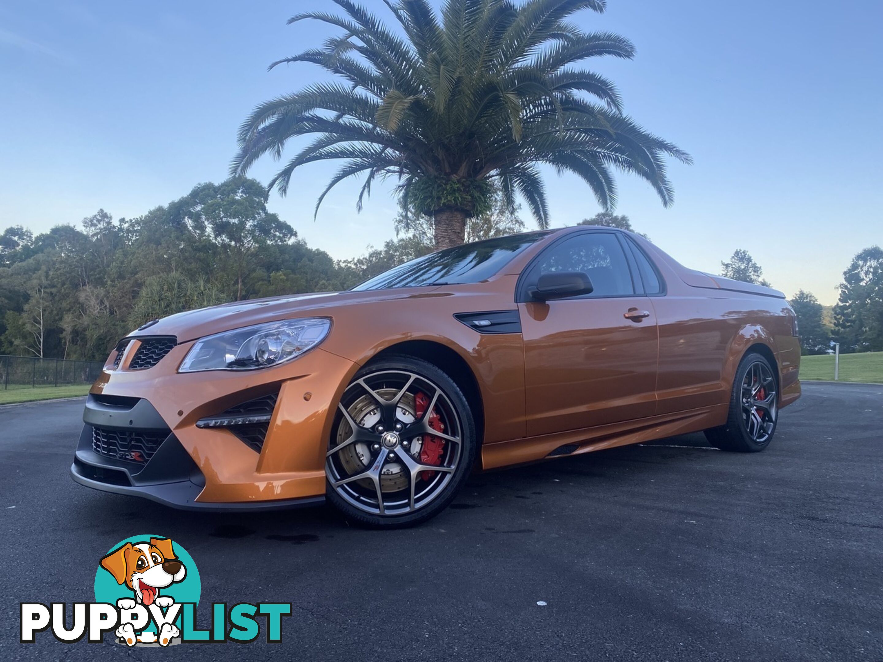 2017 HOLDEN SPECIAL VEHICLES MALOO GTS R GEN UTILITY