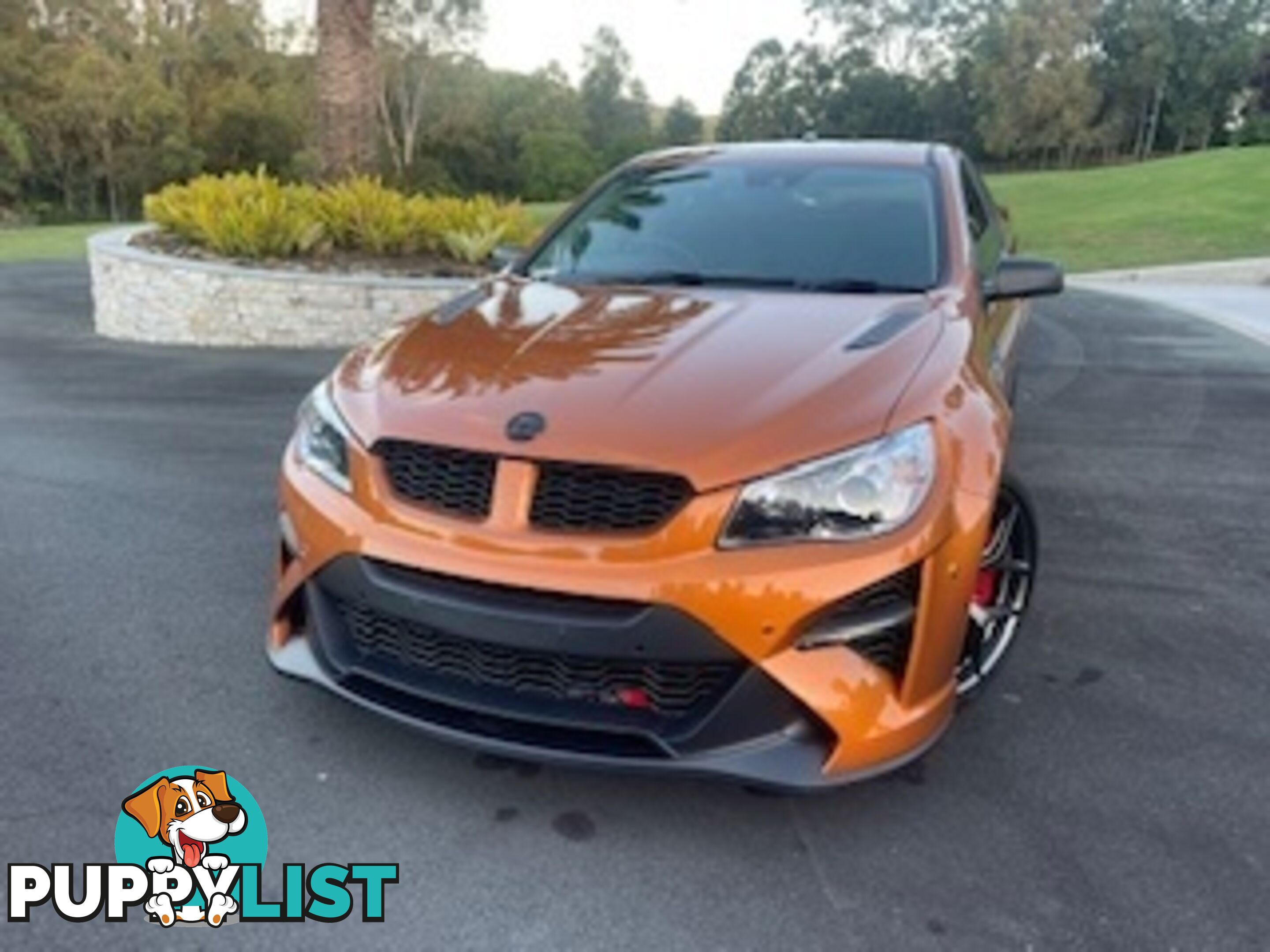 2017 HOLDEN SPECIAL VEHICLES MALOO GTS R GEN UTILITY