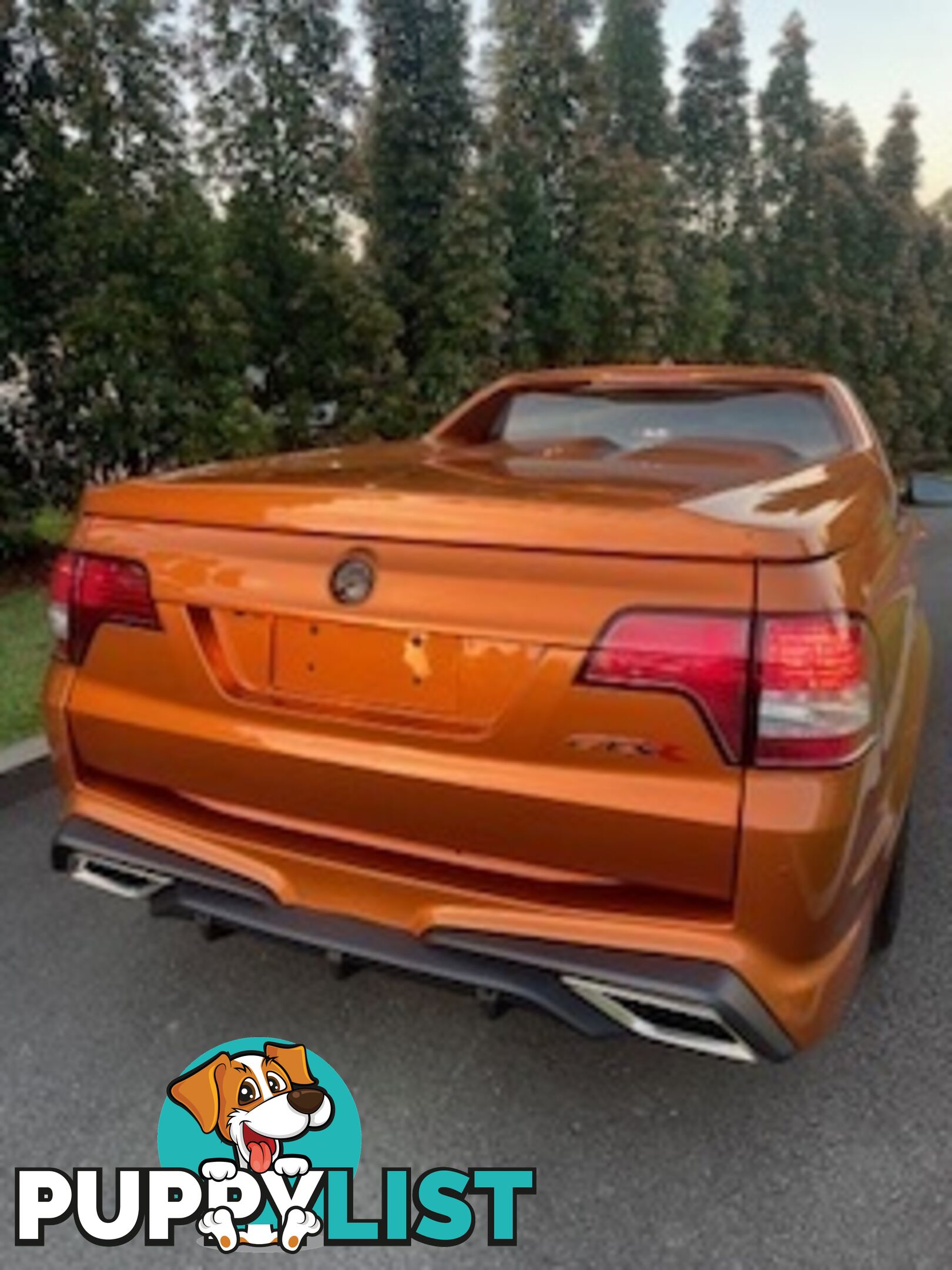 2017 HOLDEN SPECIAL VEHICLES MALOO GTS R GEN UTILITY