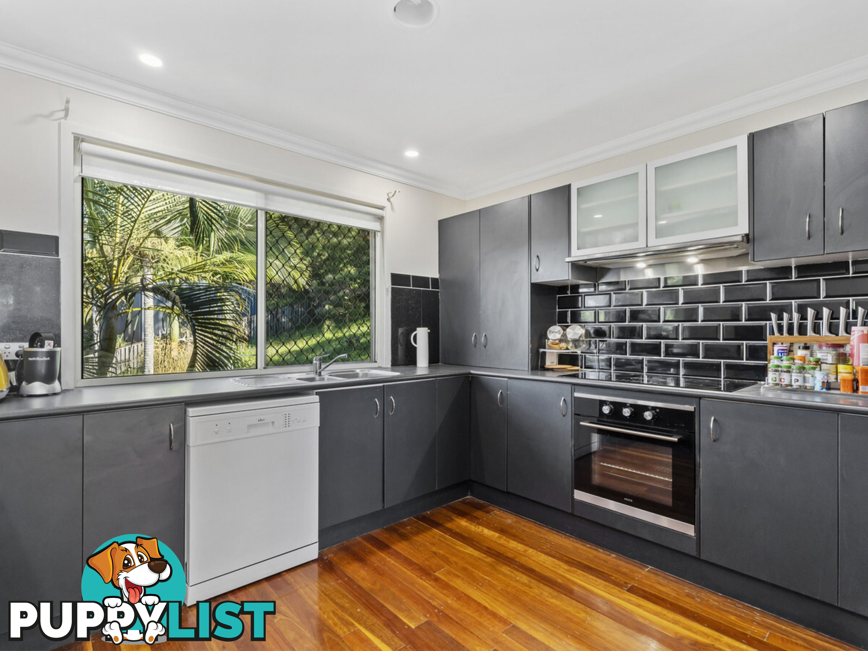 1 Hemes Close PACIFIC PINES QLD 4211