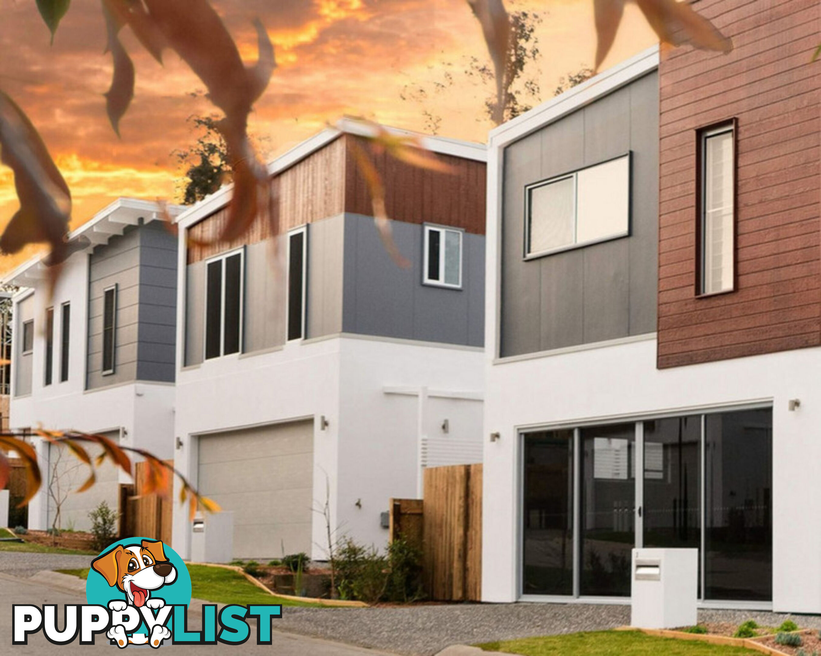 43 Stonewood Circuit OXENFORD QLD 4210