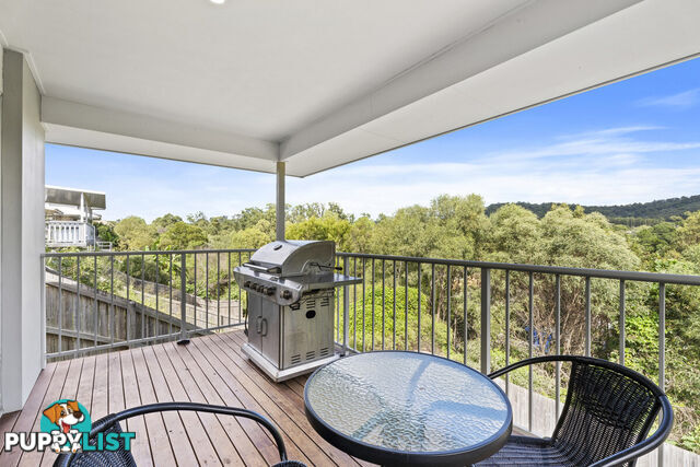 59 Macintyre Parade PACIFIC PINES QLD 4211