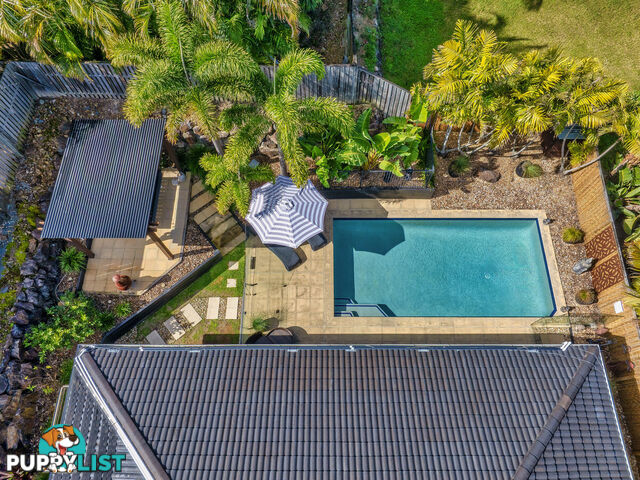 7 Minyon Court PACIFIC PINES QLD 4211