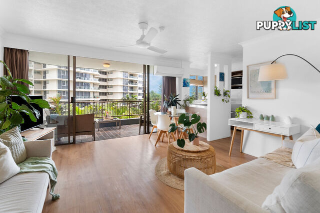 302/8 Albert Avenue BROADBEACH QLD 4218