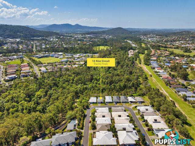 12 Rise Circuit PACIFIC PINES QLD 4211