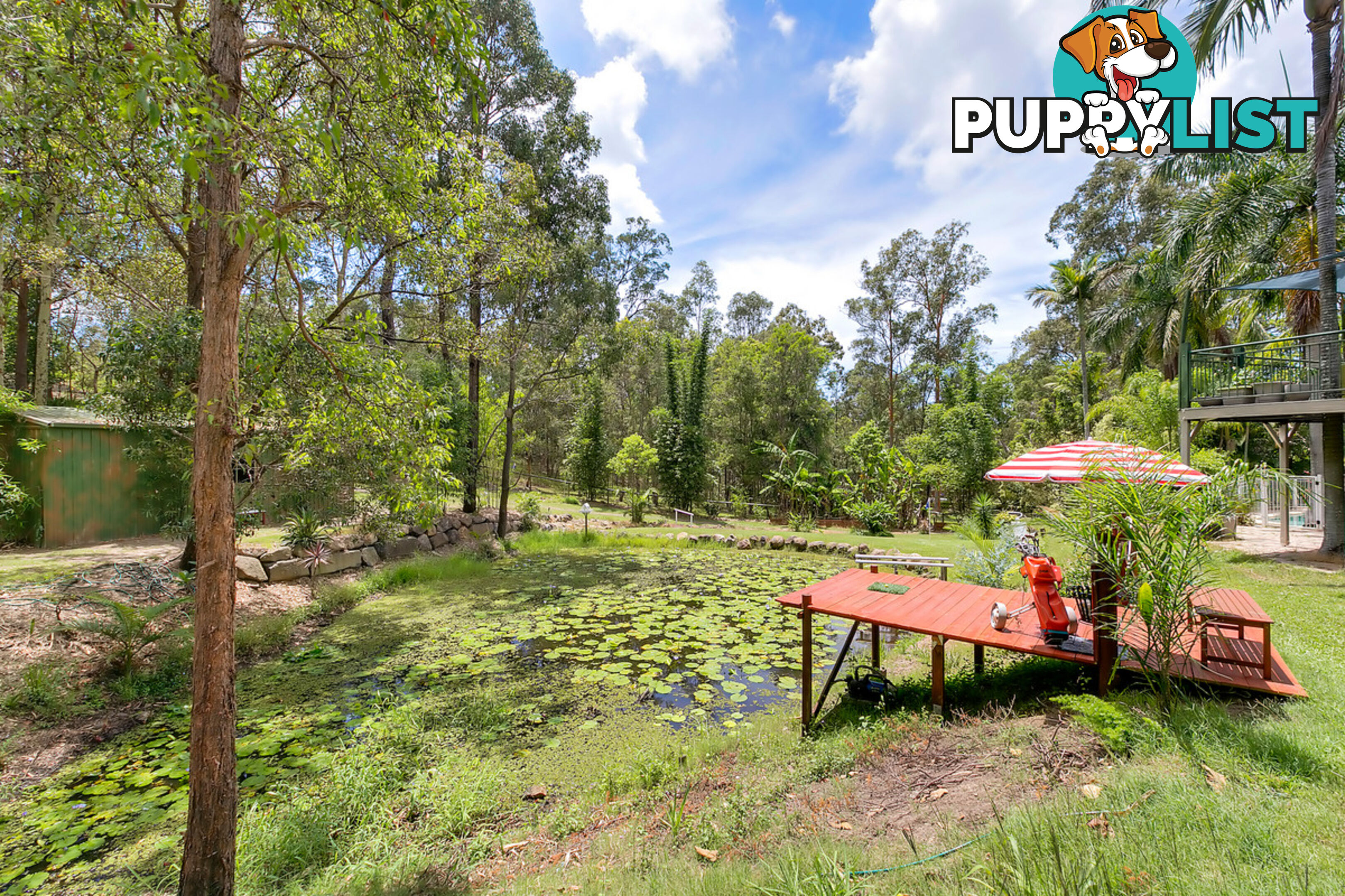 7 Brushwood Drive PARKWOOD QLD 4214