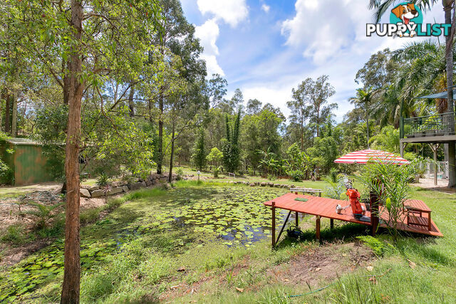 7 Brushwood Drive PARKWOOD QLD 4214