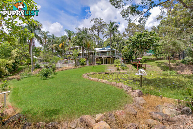 7 Brushwood Drive PARKWOOD QLD 4214