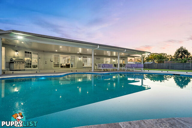 6 Nymboida Court HELENSVALE QLD 4212