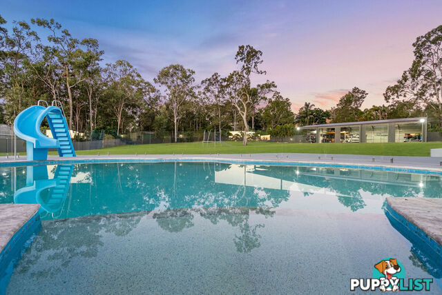 6 Nymboida Court HELENSVALE QLD 4212