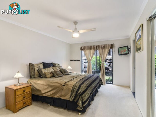 24 Govett Street PACIFIC PINES QLD 4211