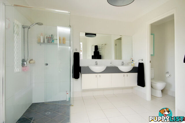 3 Augustus Street PACIFIC PINES QLD 4211