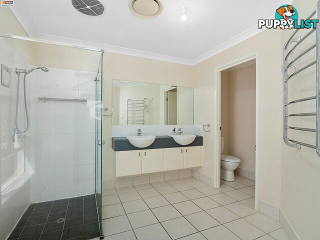 3 Augustus Street PACIFIC PINES QLD 4211