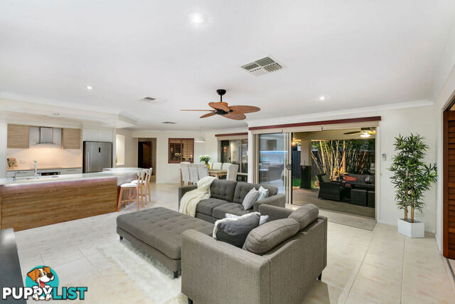 11 Essen Place OXENFORD QLD 4210