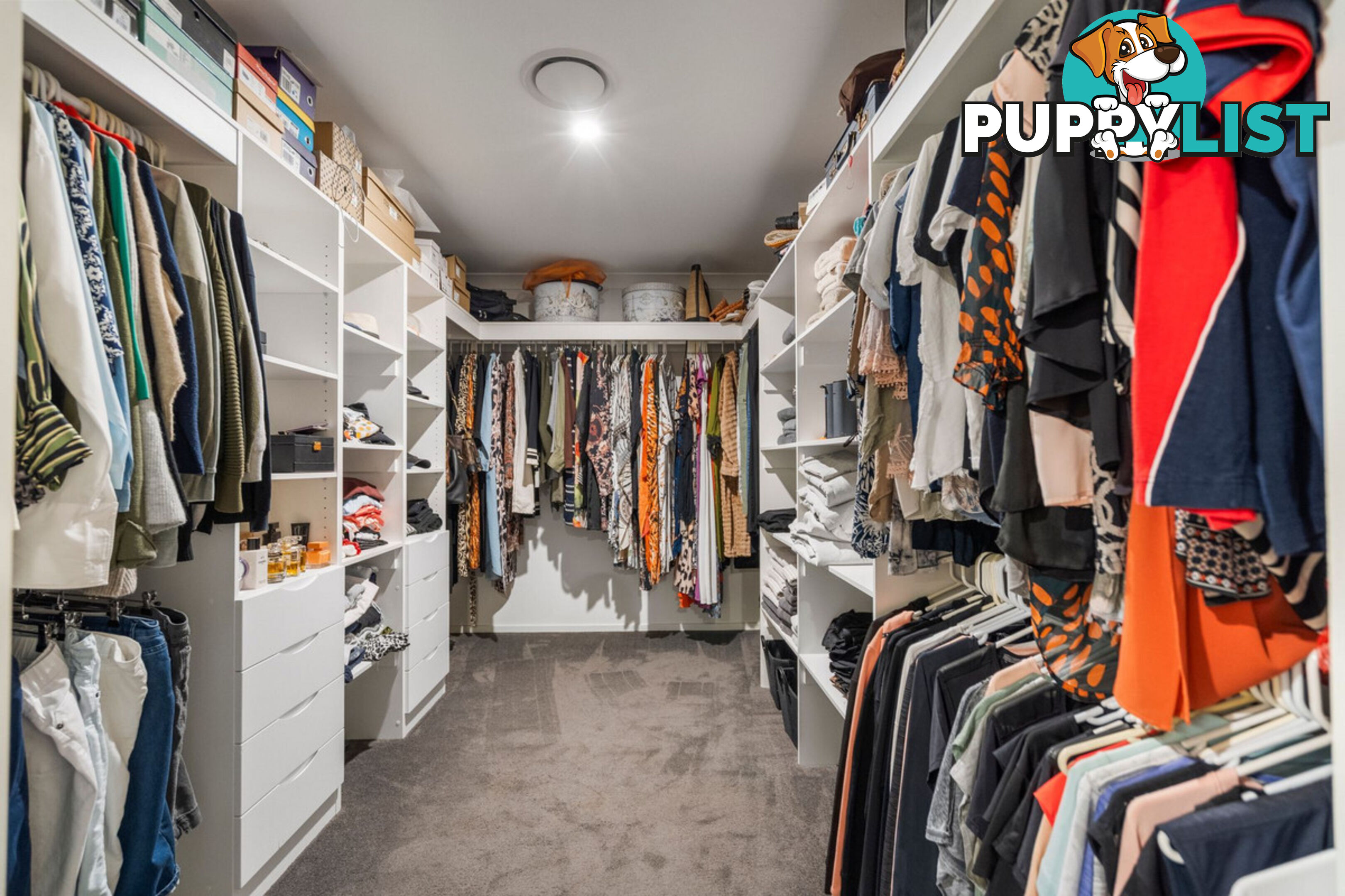 14 Olive Street HELENSVALE QLD 4212