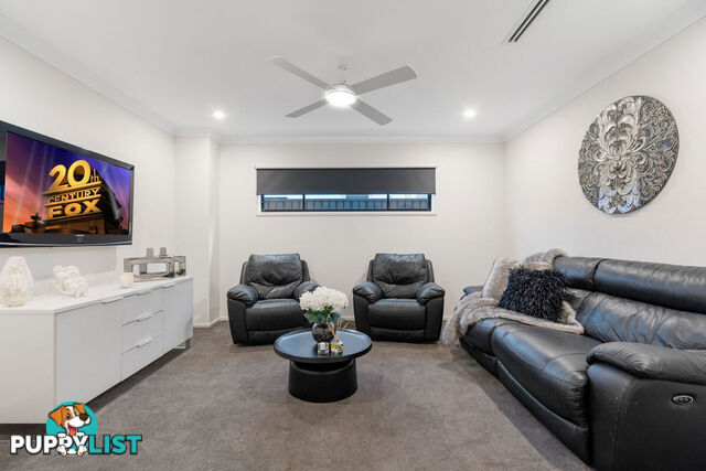 14 Olive Street HELENSVALE QLD 4212