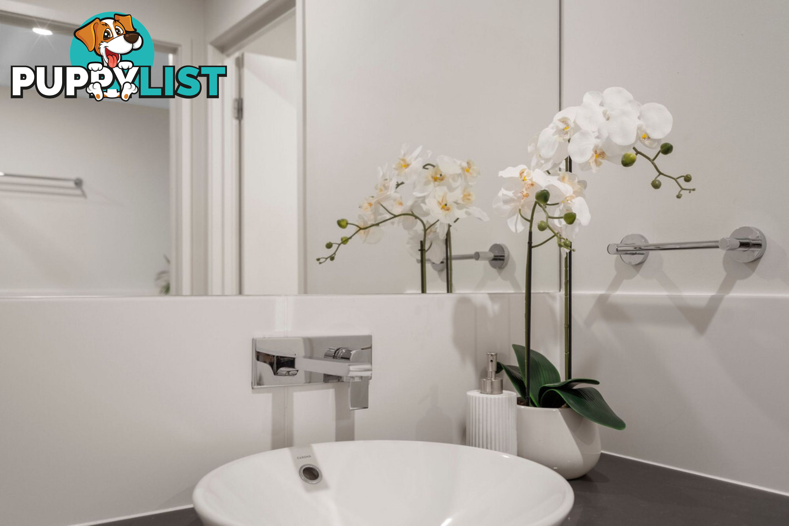 14 Olive Street HELENSVALE QLD 4212