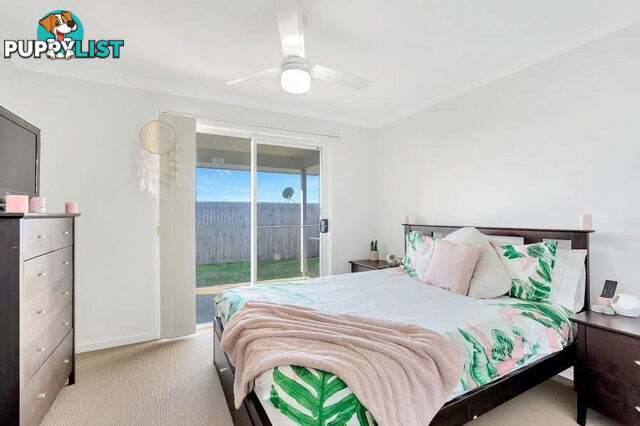 6 Darcey Street PIMPAMA QLD 4209