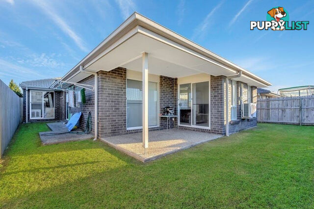 6 Darcey Street PIMPAMA QLD 4209