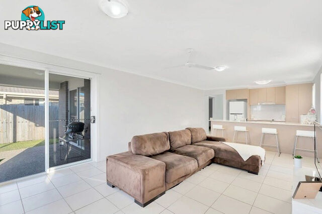 6 Darcey Street PIMPAMA QLD 4209