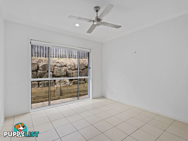 51 Mcauley Parade PACIFIC PINES QLD 4211