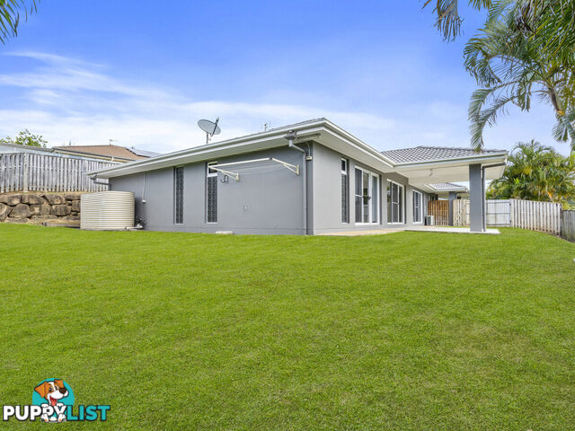 51 Mcauley Parade PACIFIC PINES QLD 4211