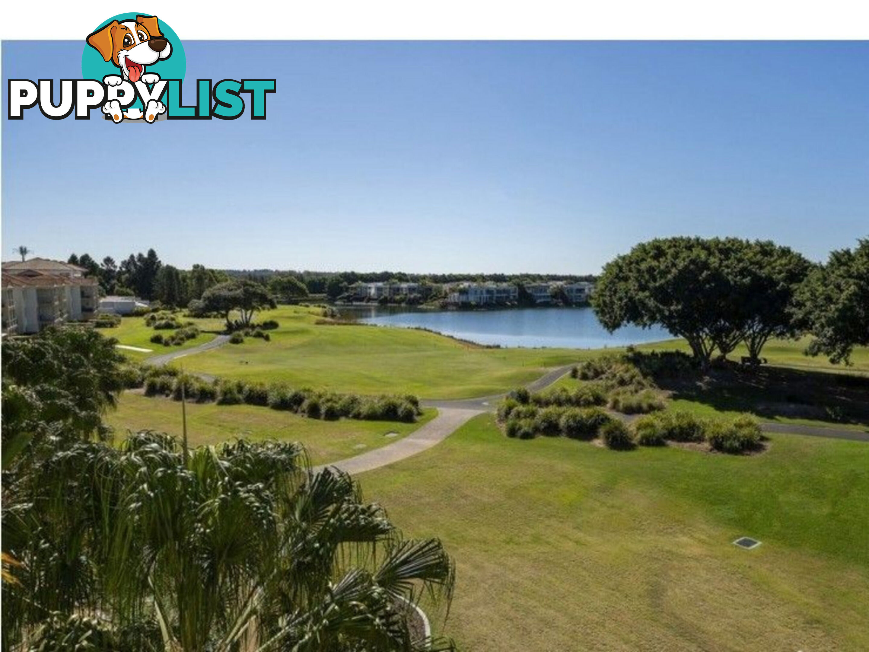 8438 Magnolia Drive HOPE ISLAND QLD 4212