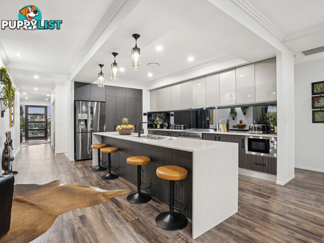 54 Mcauley Parade PACIFIC PINES QLD 4211