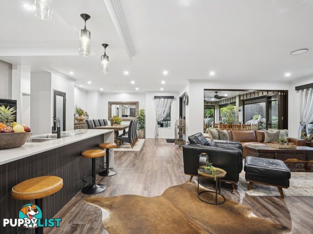 54 Mcauley Parade PACIFIC PINES QLD 4211