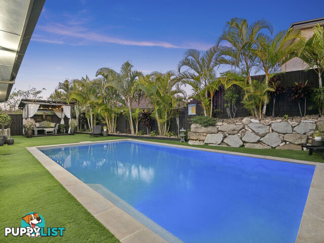 54 Mcauley Parade PACIFIC PINES QLD 4211