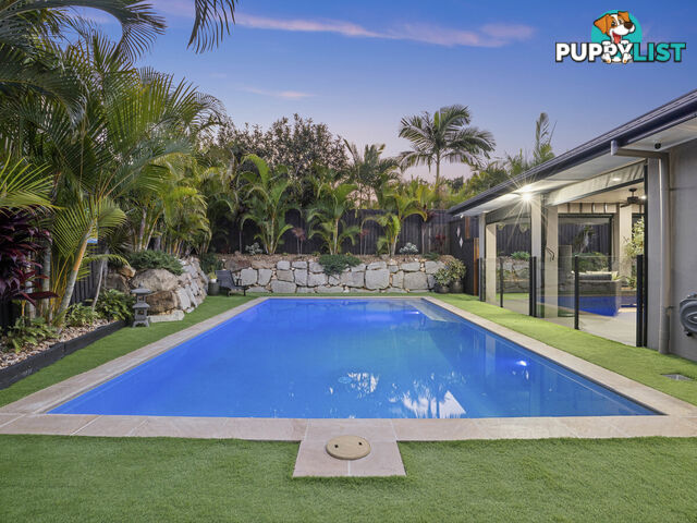 54 Mcauley Parade PACIFIC PINES QLD 4211