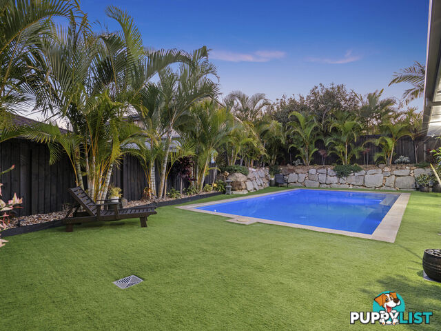 54 Mcauley Parade PACIFIC PINES QLD 4211