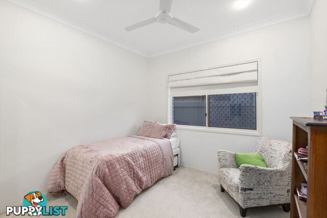 9 Flame Trees Crescent MAUDSLAND QLD 4210