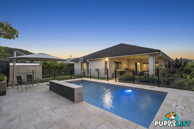 9 Flame Trees Crescent MAUDSLAND QLD 4210